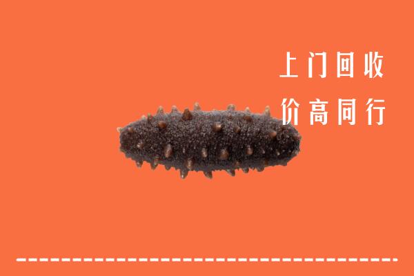 高价求购：江门台山市回收海参
