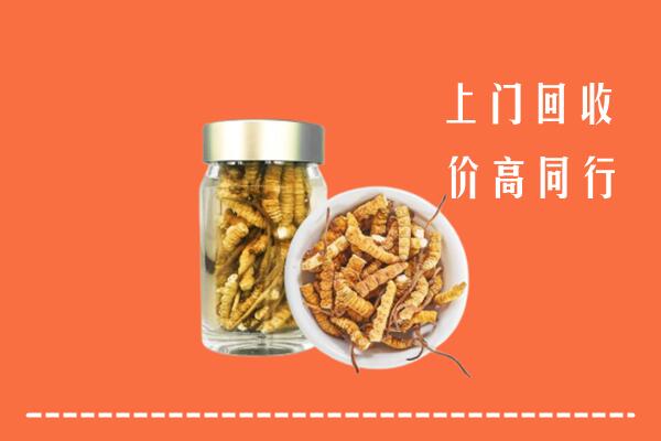 江门台山市回收冬虫夏草